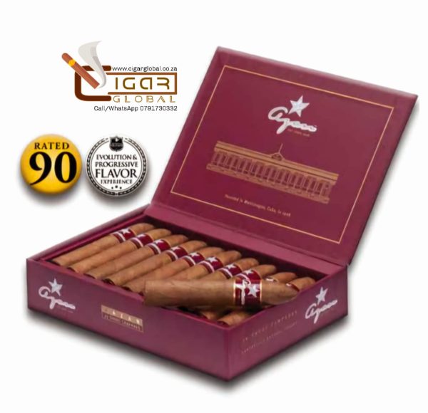 Azan Burgundy Short Campana